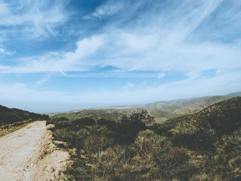 诗经草木疏<br>qyi4ujty.cn 蒹葭苍苍白露